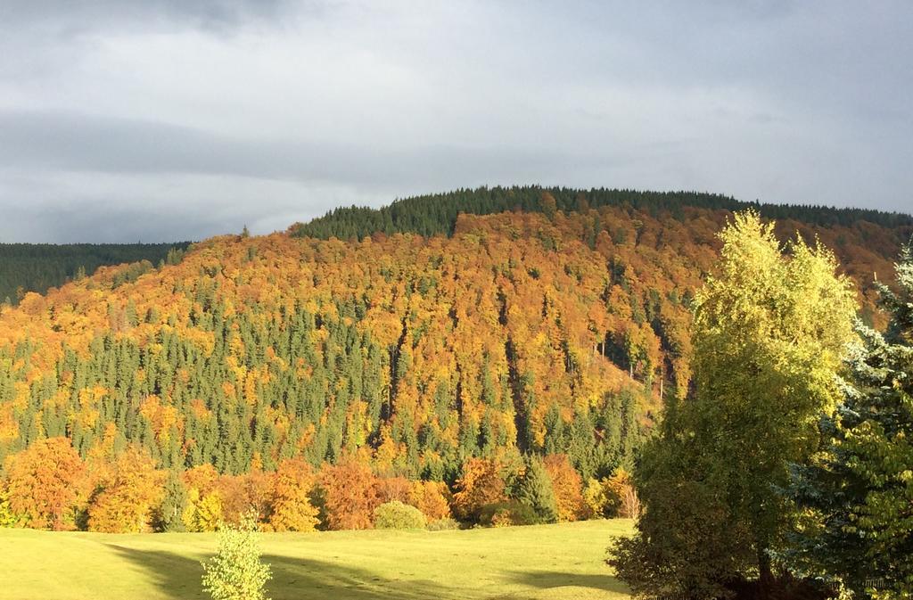 Ferienwohnungen Gehlberg エクステリア 写真