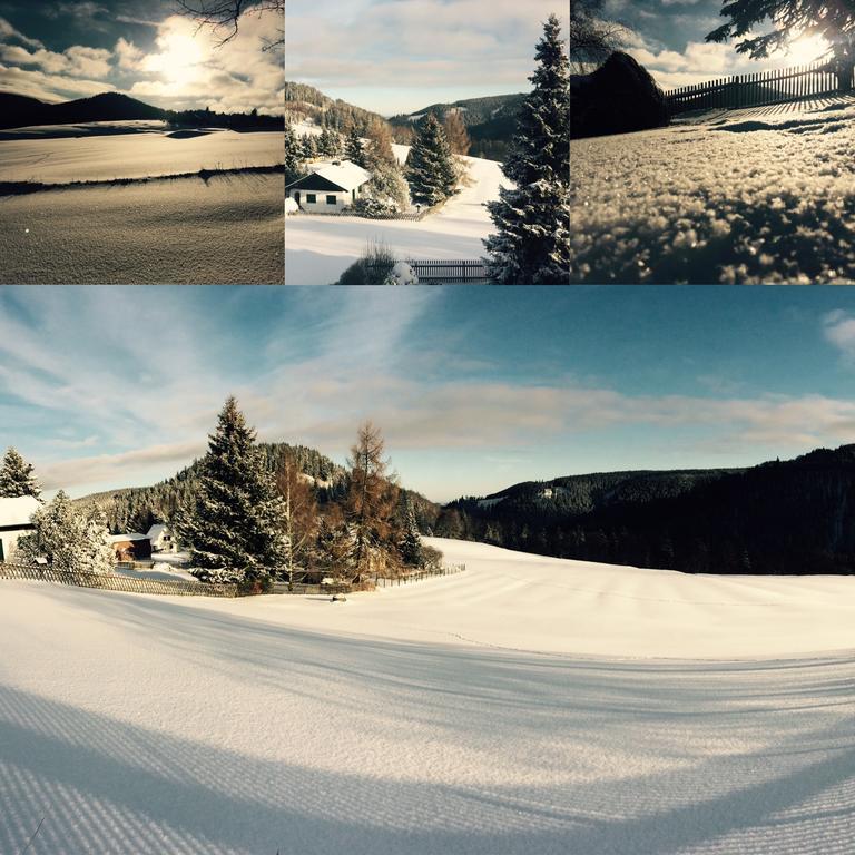 Ferienwohnungen Gehlberg エクステリア 写真
